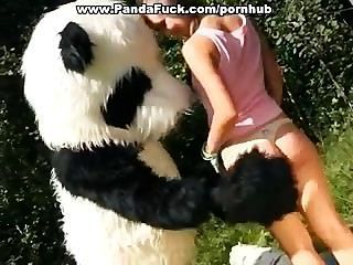 पुरस्कार एक हीरो पांडा के लिए जंगली सेक्स