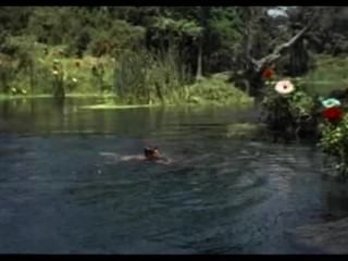 जॉर्ज रिवेरो (यानी जॉर्ज नदियों) के रूप में एडम -swimming